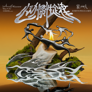 叶凯薇无码AV在线
