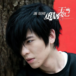 叶凯薇无码AV在线
